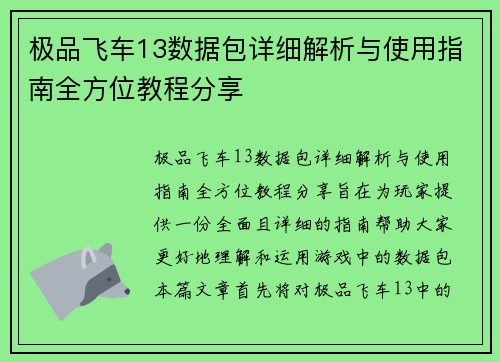 极品飞车13数据包详细解析与使用指南全方位教程分享